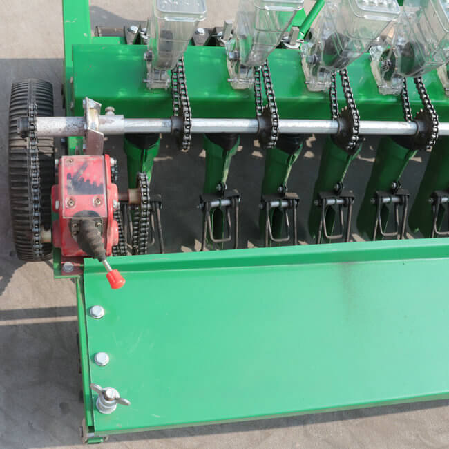 Onion Planter
