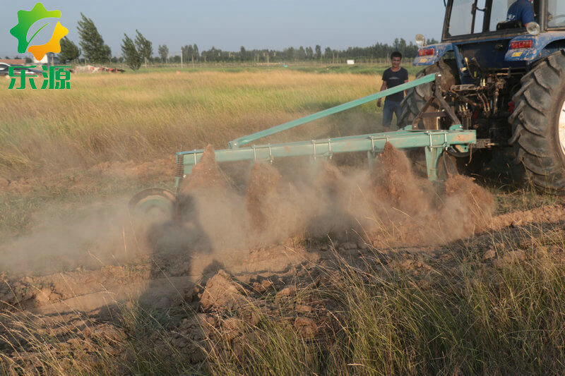 Yucheng disc plough China
