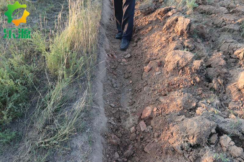 Yucheng Leyuan Machinery Co., Ltd