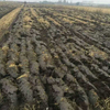 Paddy Land Driven Disc Harrow