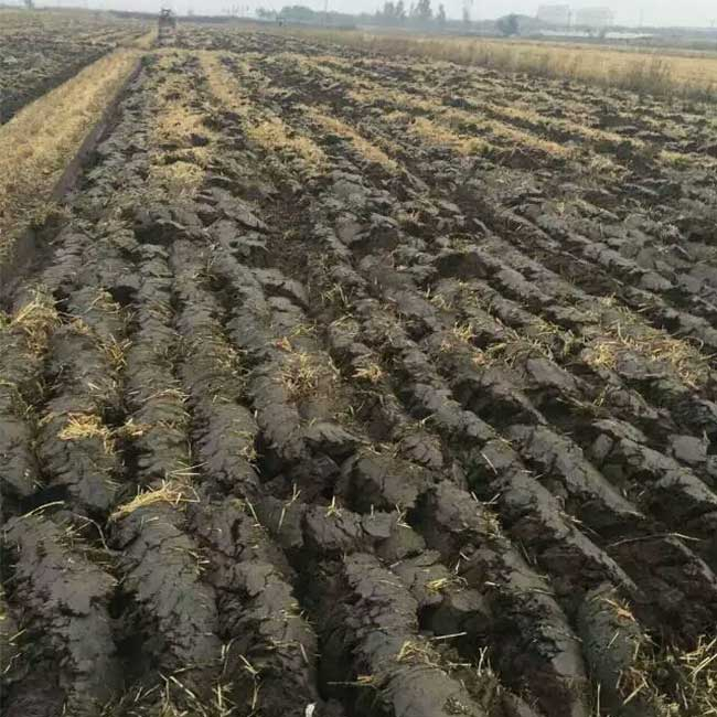 Paddy Land Driven Disc Harrow