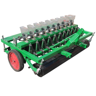 Onion Planter