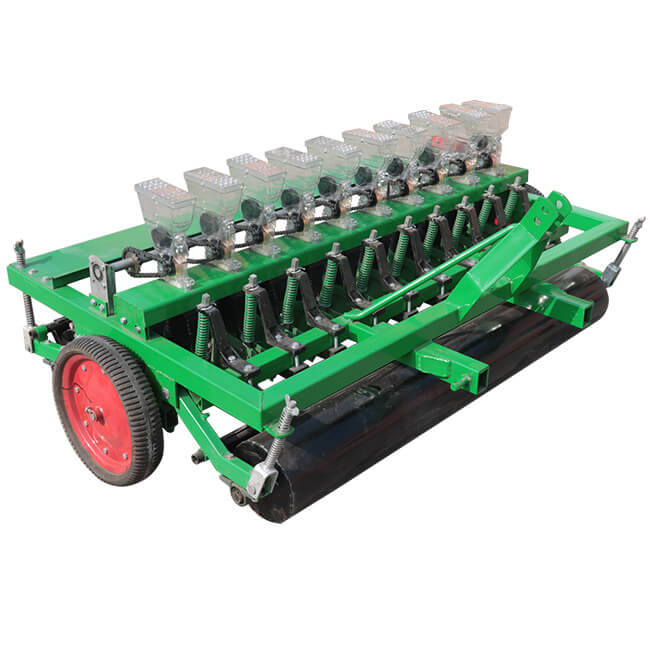 Onion Planter